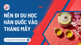 Nên đi du học Hàn Quốc vào tháng mấy? Đâu là thời điểm du học lý tưởng